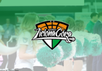 Stelmet Zielona Góra na dłużej z Aldemed i LUG Light Factory