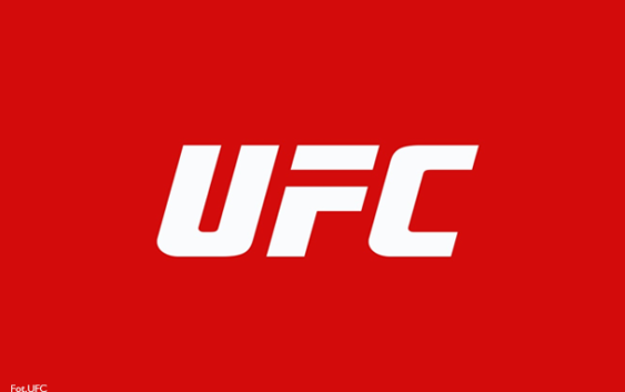 Reebok przekazał premie po UFC 219