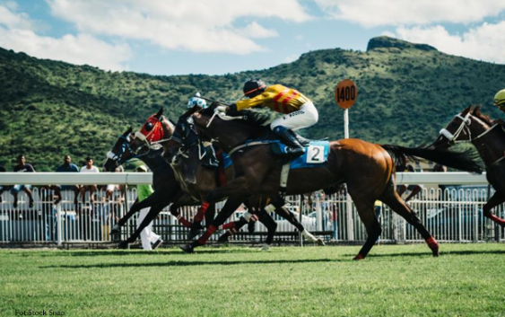 Dzień Generała Andersa na Torze Służewiec